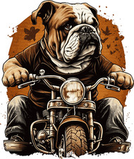 Autocollants bouledogue