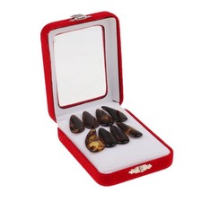 Médiators pour guzheng