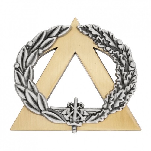 Insigne brevet moniteur - insigne,