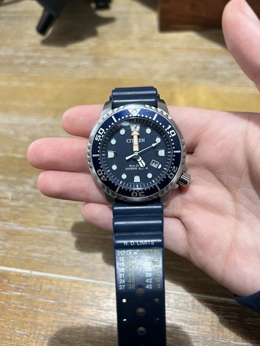 Promaster dive citizens watch - promaster,