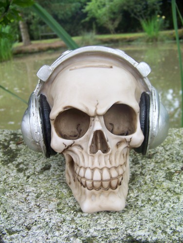 Sk138 tete mort crane casque - mort,