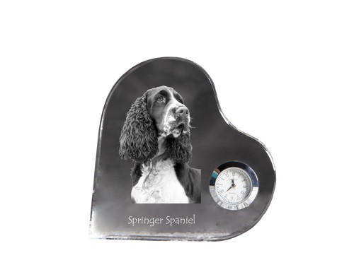 English springer spaniel - english,