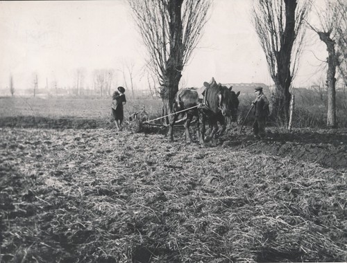 Nord 1900 attelage - nord, 1900-20