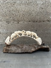 dent de phacochere Sculptée Origine Namibie Travail Contemporain