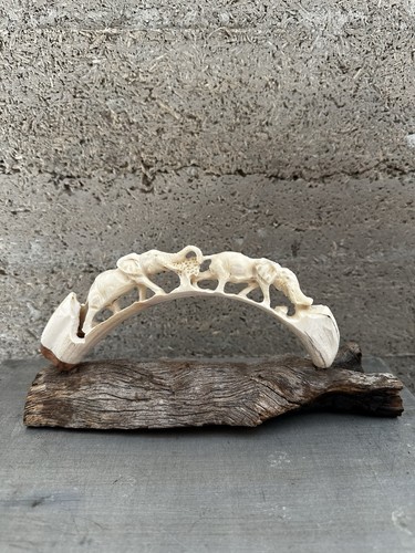 Dent phacochere sculptée - phacochere,