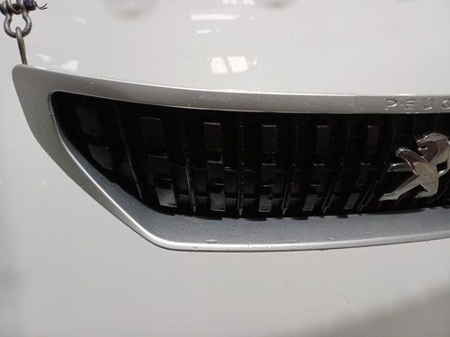 Calandre peugeot expert - expert, 3