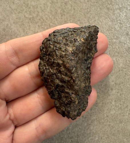 Meteorite chondrite ck5 - chondrite,