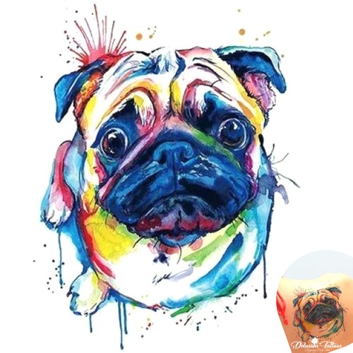 Chien carlin couleur - chien,