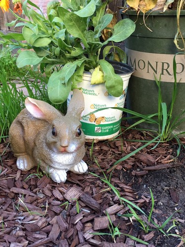 Rabbit life like figurine - life,