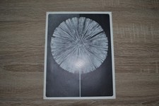 BROCHURE LAMBERT BEAL - 1965 -