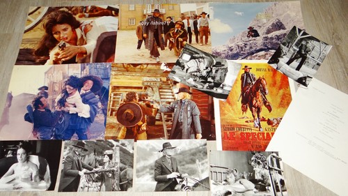 Johnny hallyday specialiste - johnny,
