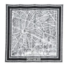 Christian Dior Carre Plan de