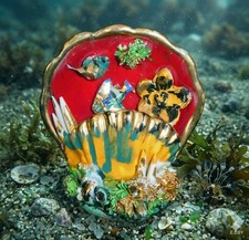 Vallauris coquillage veilleuse - vallauris,