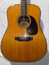 Morris W-35 Acoustic Guitar