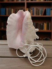 Lampe coquillage Lambi vintage