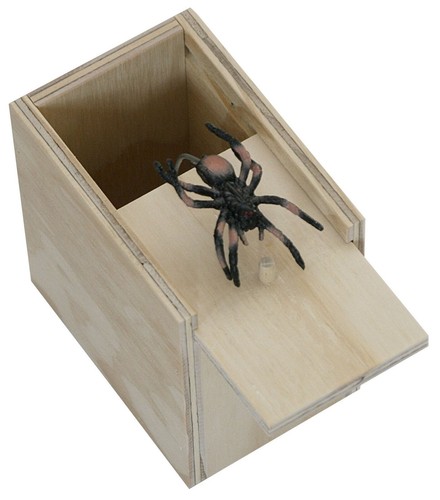Wooden spider surprise prank - surprise,