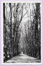 CPA DECIZE - Promenade des Halles, 17 TRINQUET et RAMILIEN, Papier glacé, 40's