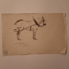 Dessin Ancien Animalier Fond