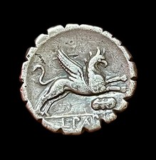 PAPIA Denier serratus