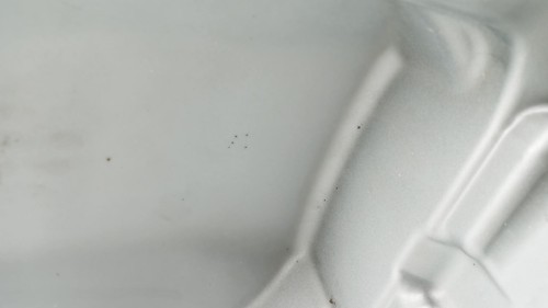 Réservoir essence agusta - d'essence, mv