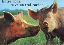 CARTE POSTALE COLLECTION ORION