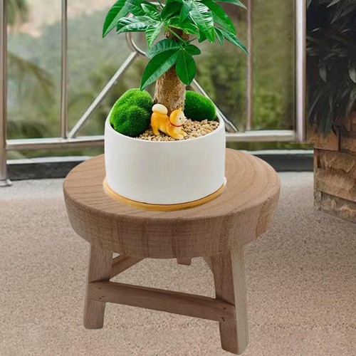 Support plantes bois - en,