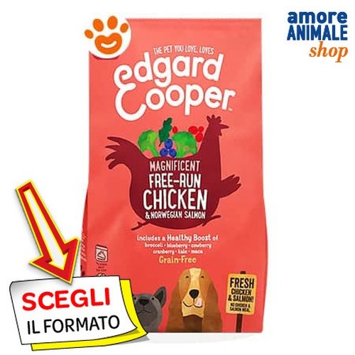 Edgard cooper chiens seniors - edgard,