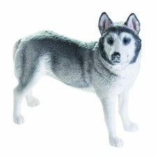 Figurine De Chien Husky John