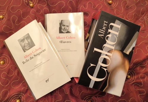Albert cohen belle du - albert, cohen: