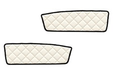 CAMION Panneaux de porte pour DAF XF 105 01.06-12.13 XF 106 01.14-09.21  CHAMP