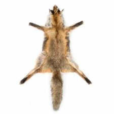 Peau de Renard (Fox Skin) 