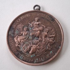 Médaille RECOMPENSE FLEURS 1884 grand format  COMITE d’AGRICULTURE