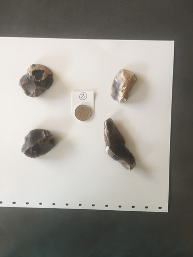 Prehistoire artefacts silex - en,