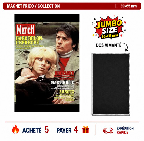 Magnet frigo alain delon - magnet,