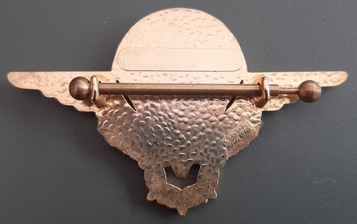 Insigne brevet chuteur - insigne,