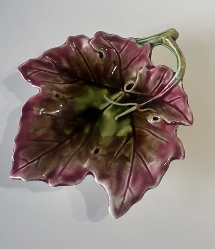 Orchies feuille trompe - feuille,