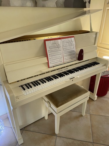 Piano acoustique young - piano, chang