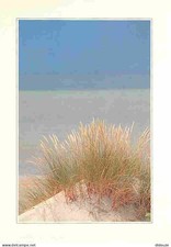 Carte Postale - 59 - Bray