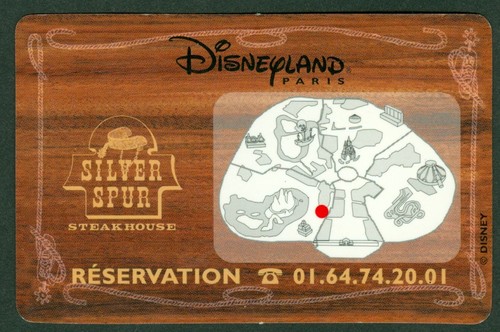 Passeport disneyland paris - ,