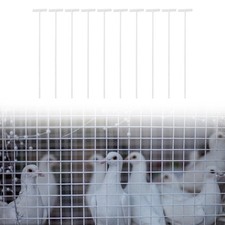 10x pigeon porte d'entrée