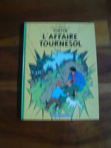 Aventure tintin l - tintin, l'