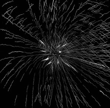 Tom Thiel ALBUM (Vinyl) 12" Album