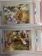 Carte Pokemon Raikou Entei