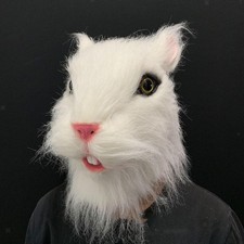 Accessoires de masque de tête