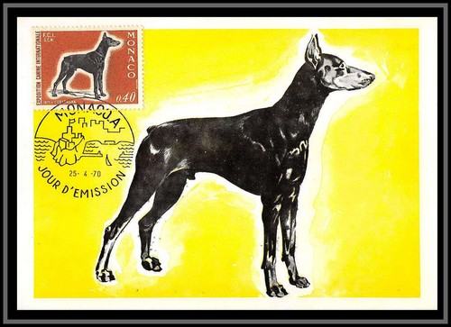 49016 816 doberman chien - 49016, n°816