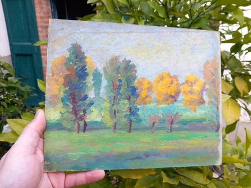 Paysage automne foret arbres - foret,