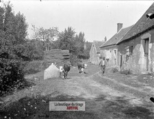 Ferme, campagne, vaches, plaque verre, photo ancienne, négatif 9x12 cm