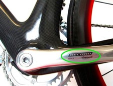 Campagnolo Record 172.5