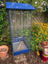 volière oiseaux intérieure -