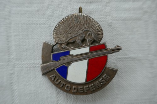 Insigne guerre algérie - guerre, d'algérie